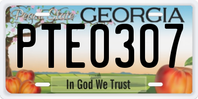 GA license plate PTE0307
