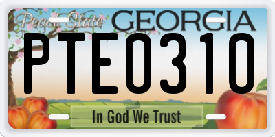 GA license plate PTE0310