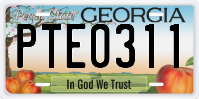 GA license plate PTE0311
