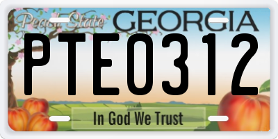 GA license plate PTE0312