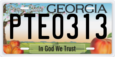 GA license plate PTE0313