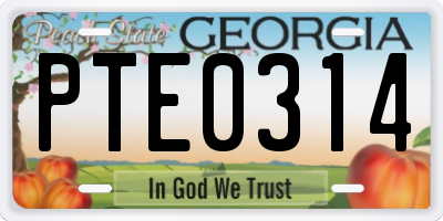 GA license plate PTE0314