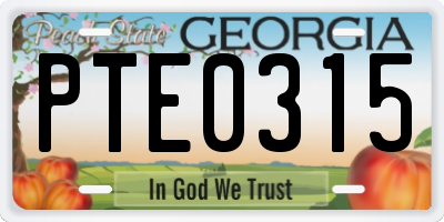 GA license plate PTE0315