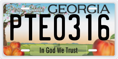 GA license plate PTE0316