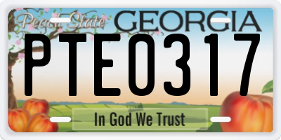 GA license plate PTE0317
