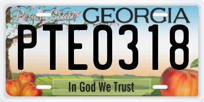 GA license plate PTE0318