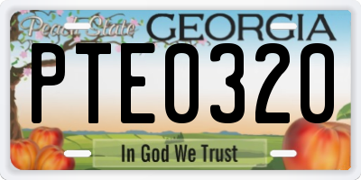 GA license plate PTE0320