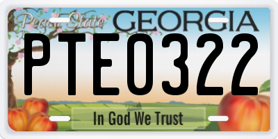 GA license plate PTE0322