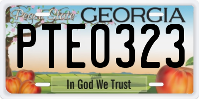 GA license plate PTE0323