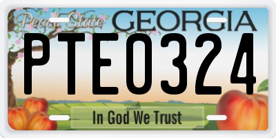 GA license plate PTE0324