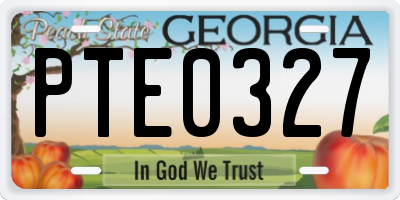 GA license plate PTE0327