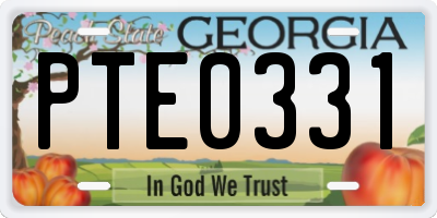 GA license plate PTE0331