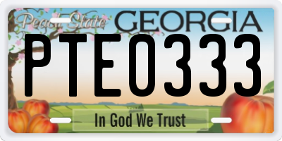 GA license plate PTE0333