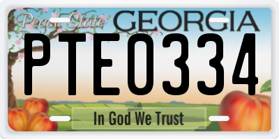 GA license plate PTE0334