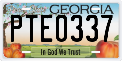 GA license plate PTE0337
