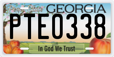 GA license plate PTE0338