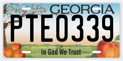 GA license plate PTE0339
