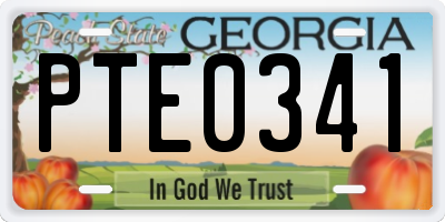 GA license plate PTE0341