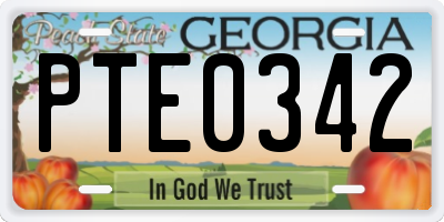 GA license plate PTE0342