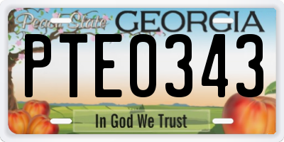 GA license plate PTE0343