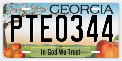 GA license plate PTE0344