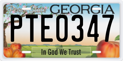 GA license plate PTE0347