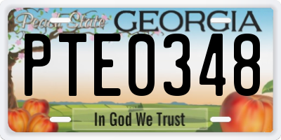 GA license plate PTE0348
