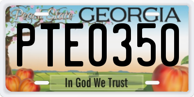GA license plate PTE0350