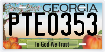 GA license plate PTE0353
