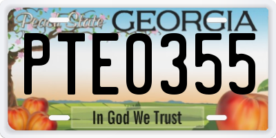 GA license plate PTE0355