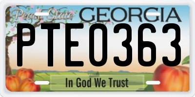 GA license plate PTE0363