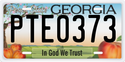 GA license plate PTE0373