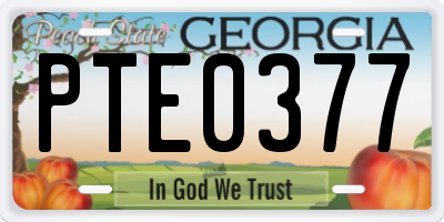 GA license plate PTE0377