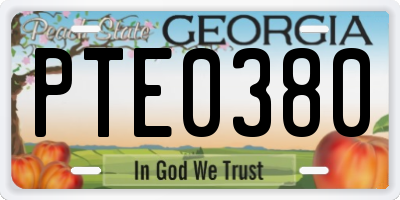 GA license plate PTE0380