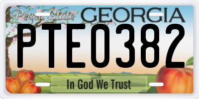 GA license plate PTE0382