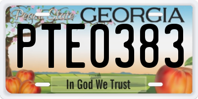 GA license plate PTE0383
