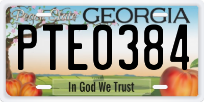 GA license plate PTE0384