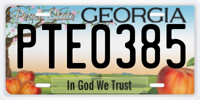 GA license plate PTE0385