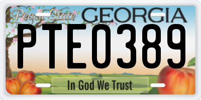 GA license plate PTE0389