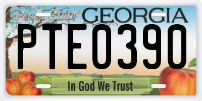 GA license plate PTE0390
