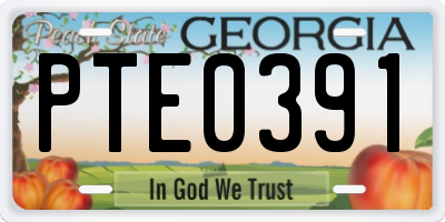 GA license plate PTE0391
