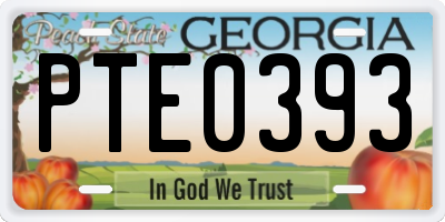 GA license plate PTE0393