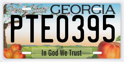 GA license plate PTE0395