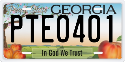 GA license plate PTE0401