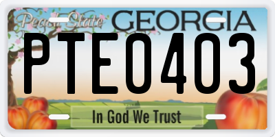 GA license plate PTE0403