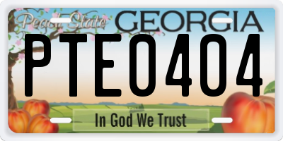 GA license plate PTE0404
