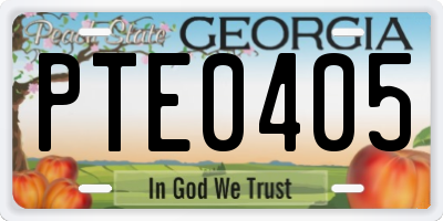 GA license plate PTE0405