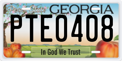 GA license plate PTE0408