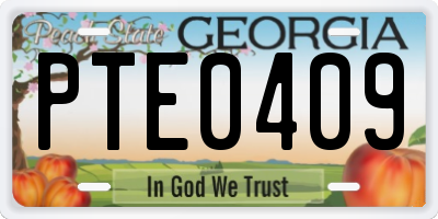 GA license plate PTE0409