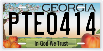 GA license plate PTE0414